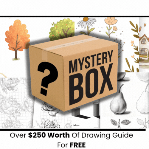 Drawing Guide Mystery Box